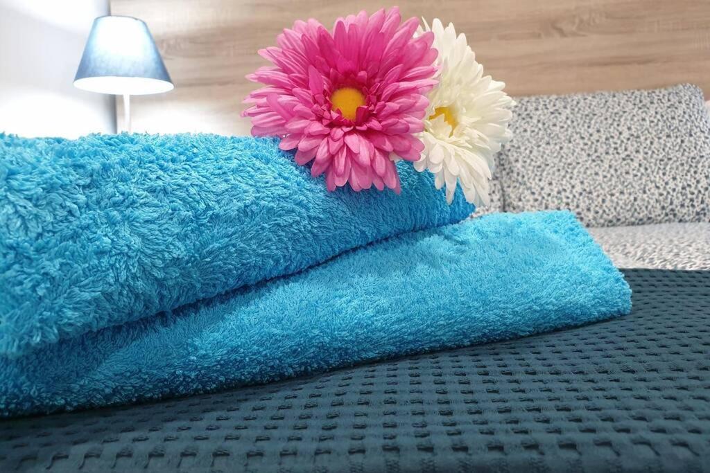 Apartamento Eucalipto Мосага Экстерьер фото