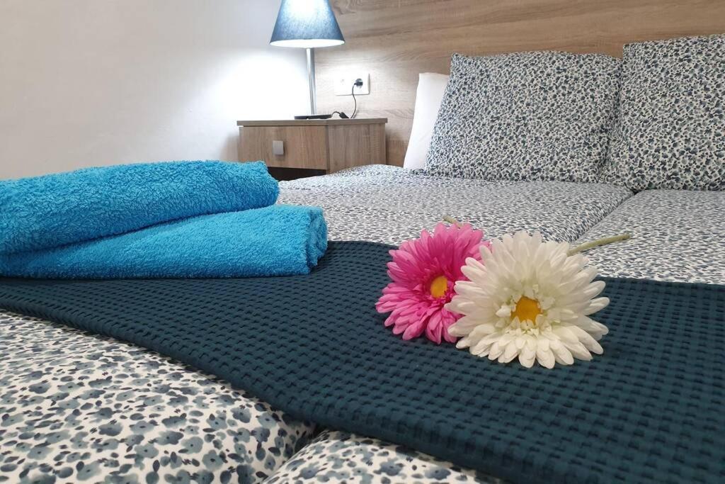 Apartamento Eucalipto Мосага Экстерьер фото